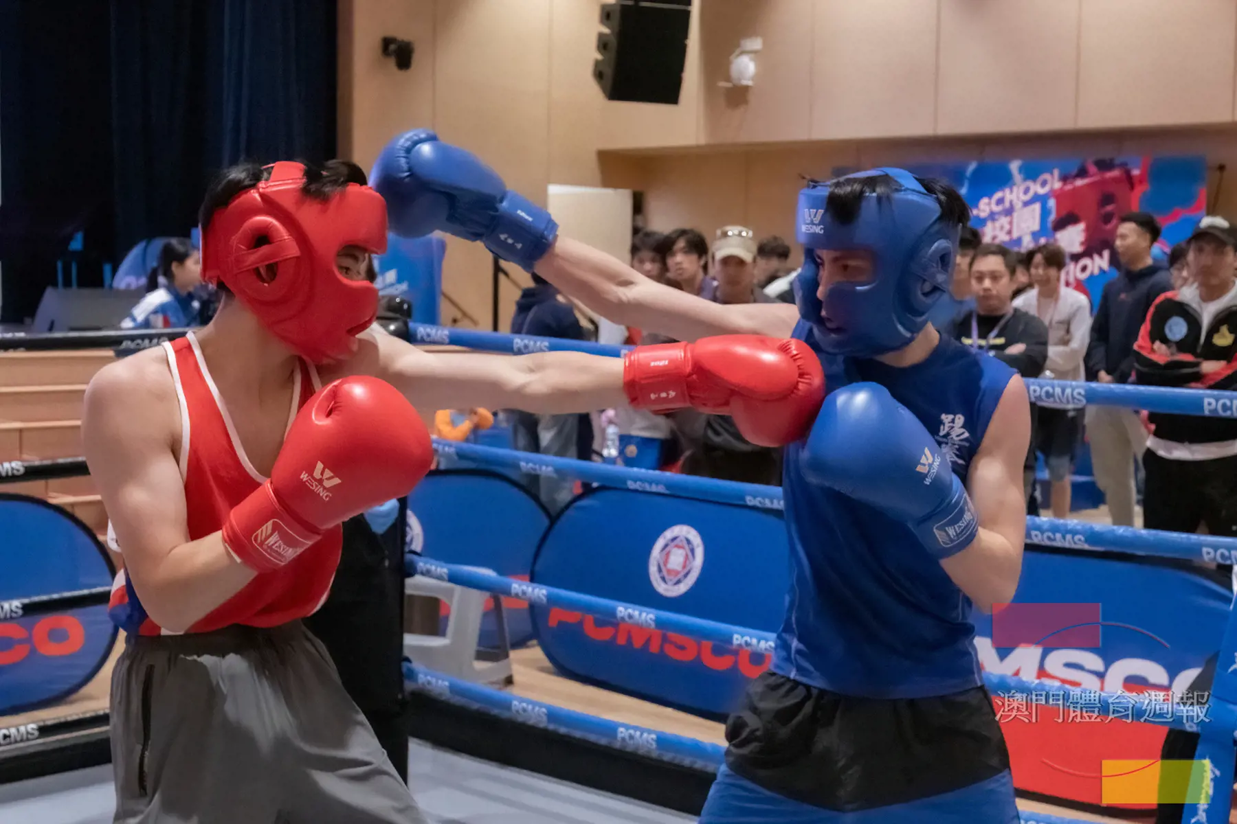 現場上演多場拳擊賽.jpg