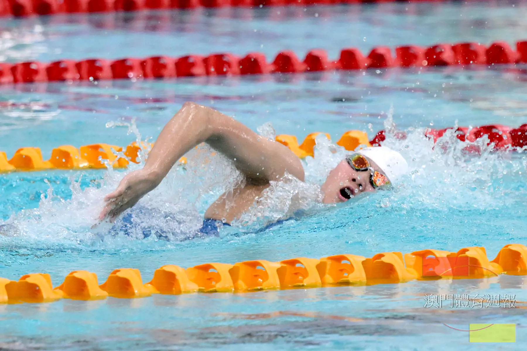 紅棉的陳美昕於女子一百米自由泳與五十米仰泳15至17歲組奪金.jpg