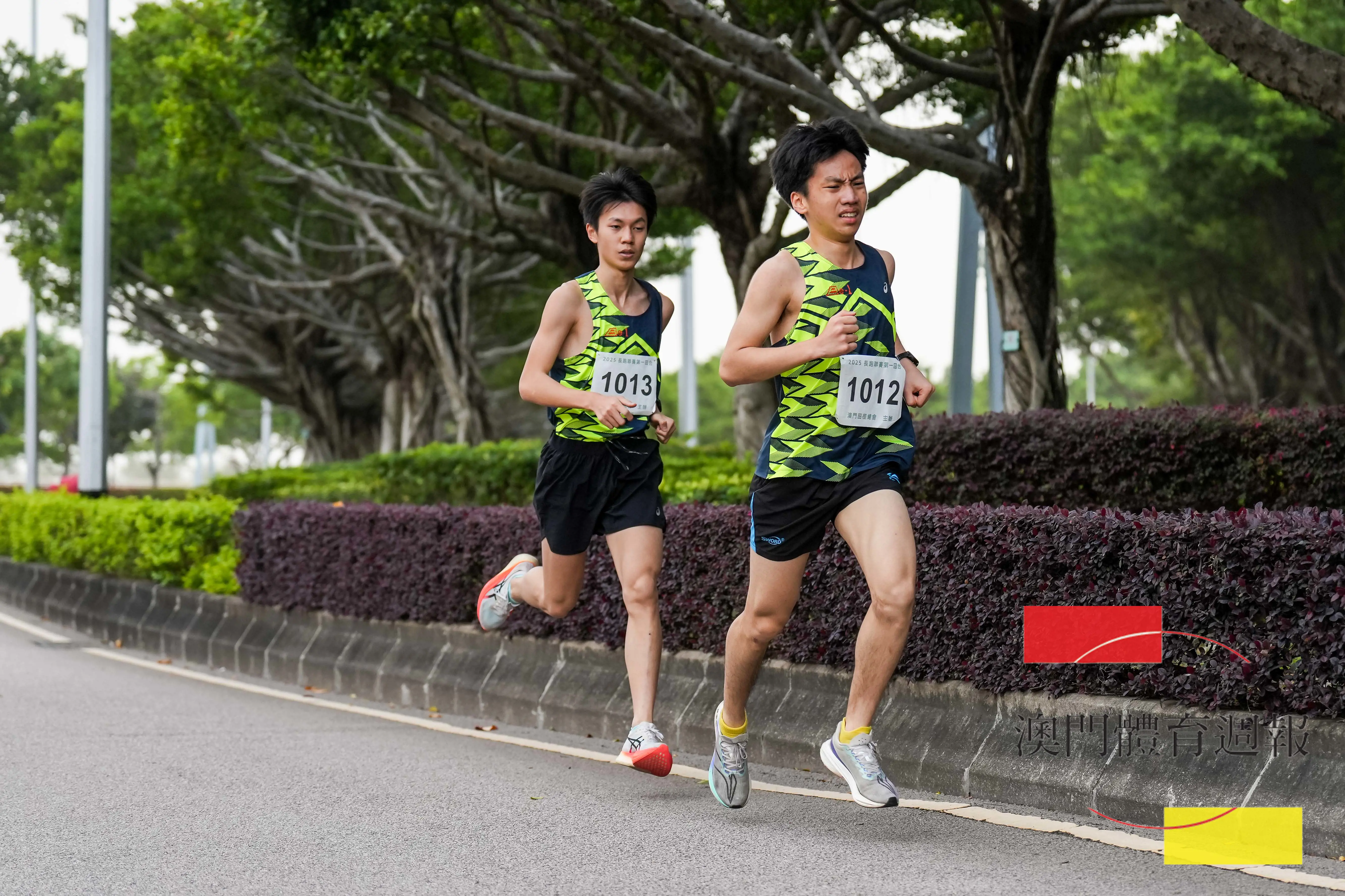 葉穎陶奪男子青年組冠軍.jpg