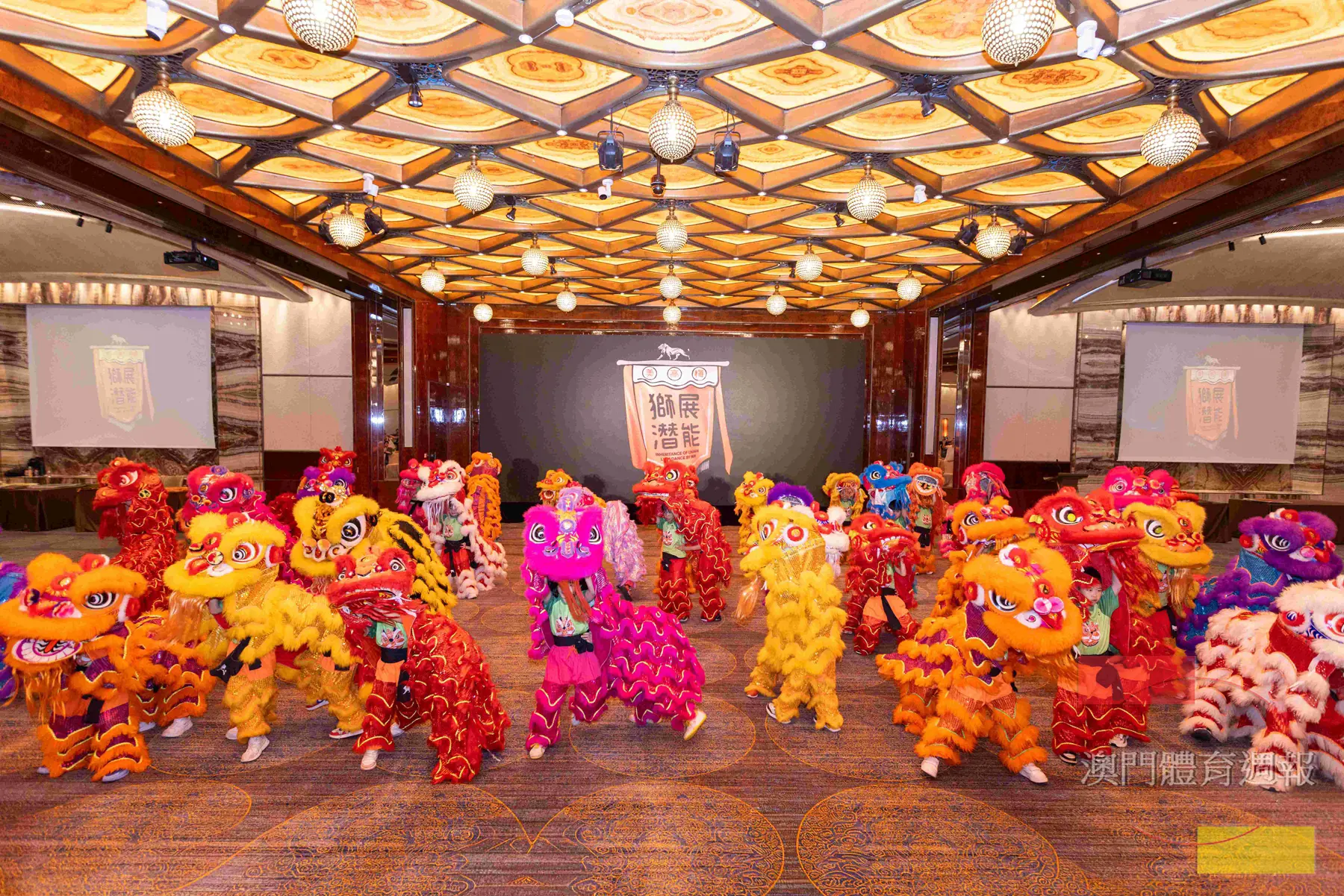 幼獅生力軍呈獻活力十足的醒獅表演.jpg