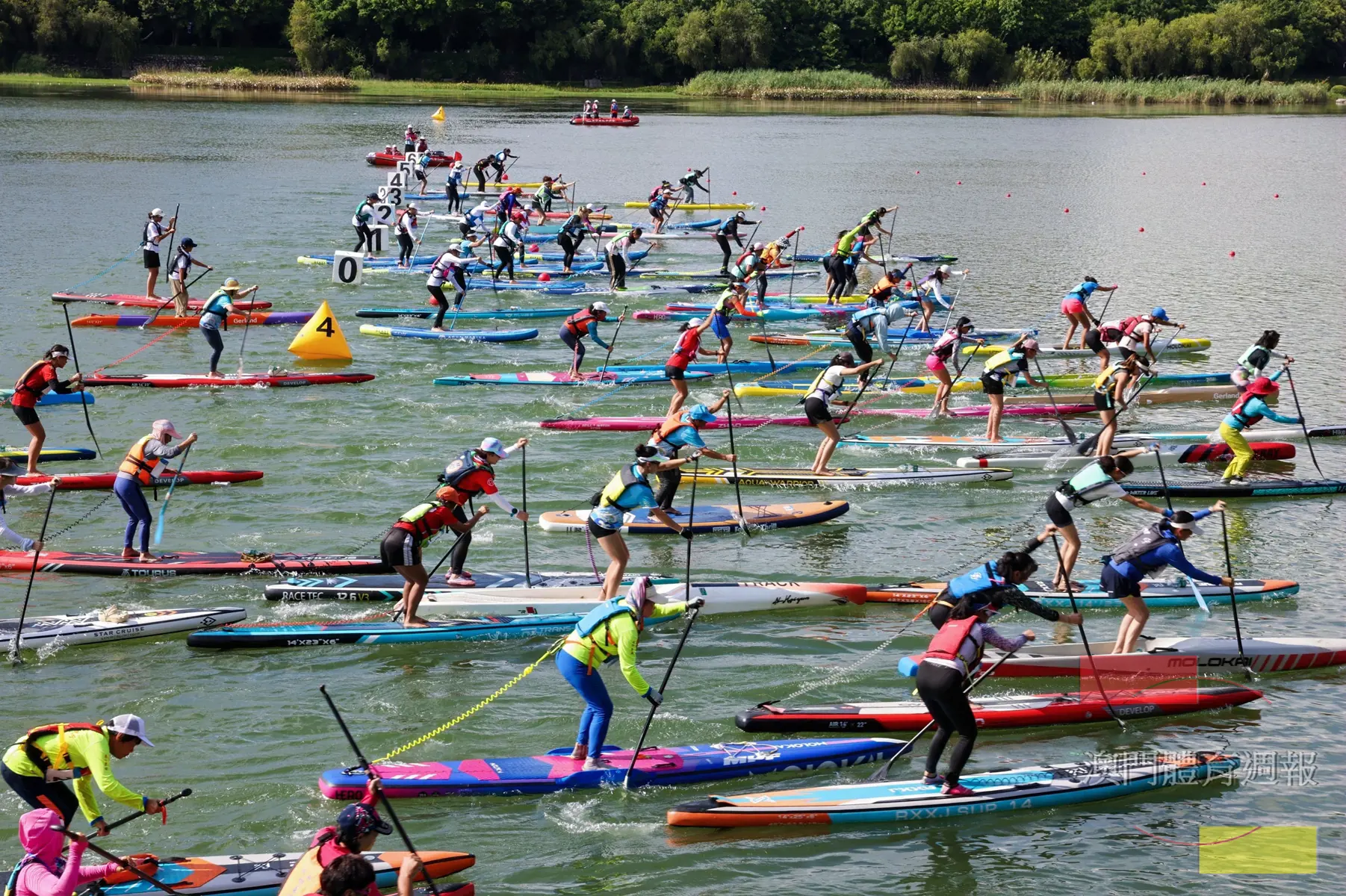 槳板長程賽起步一刻.jpg