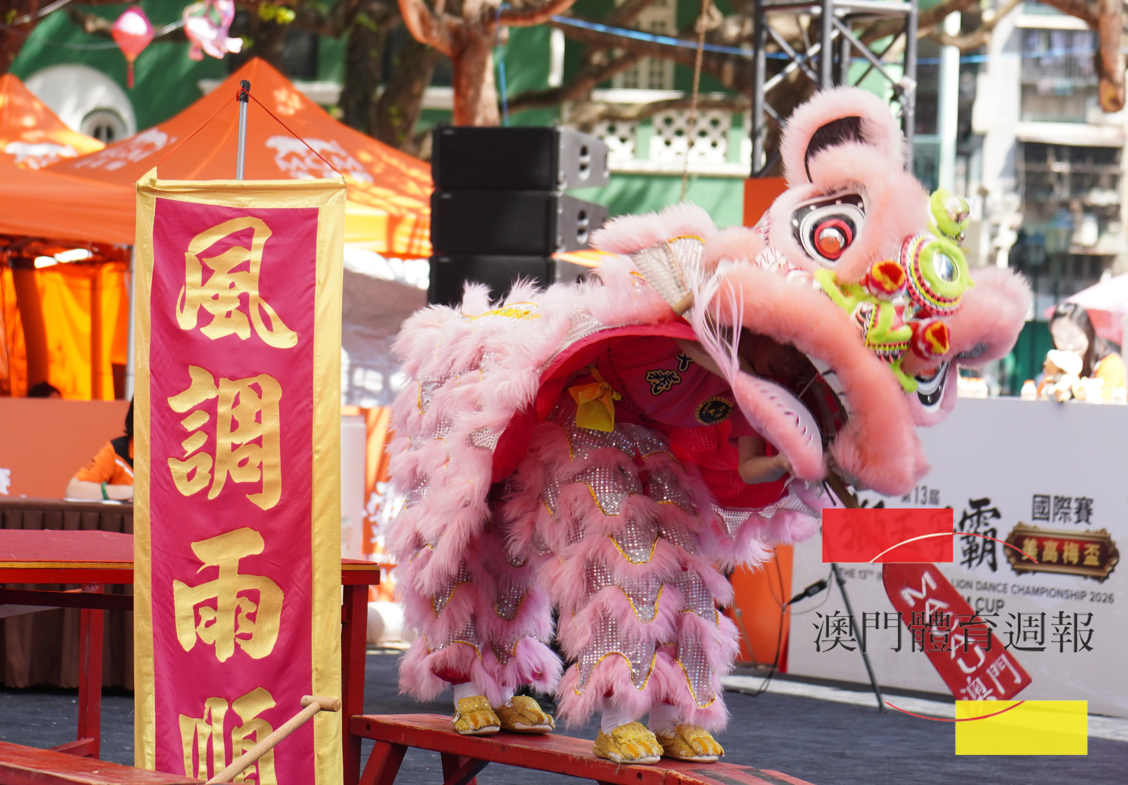幼獅組友義將扒龍舟動作融入獅藝.jpg
