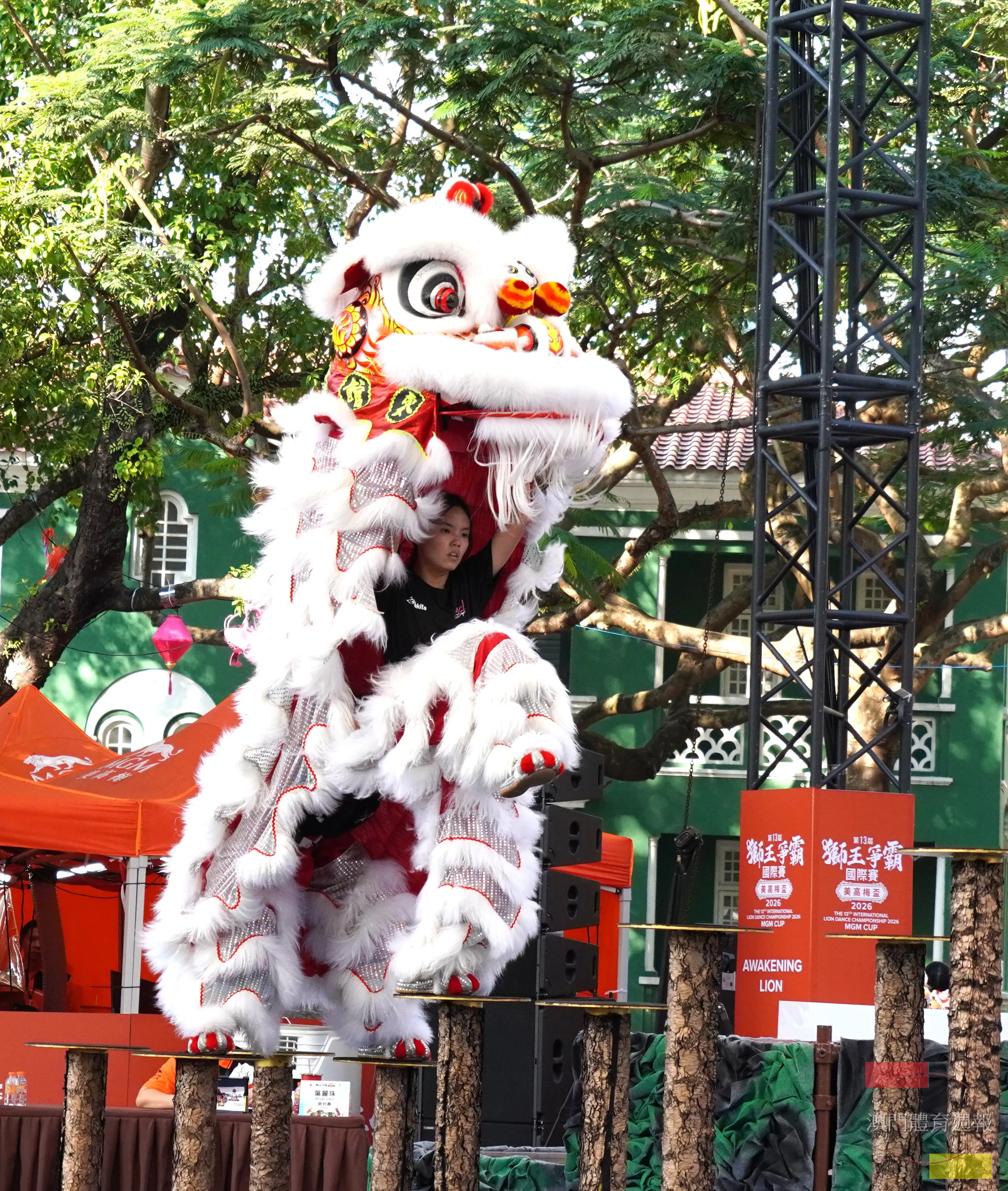 DSC06586.jpg