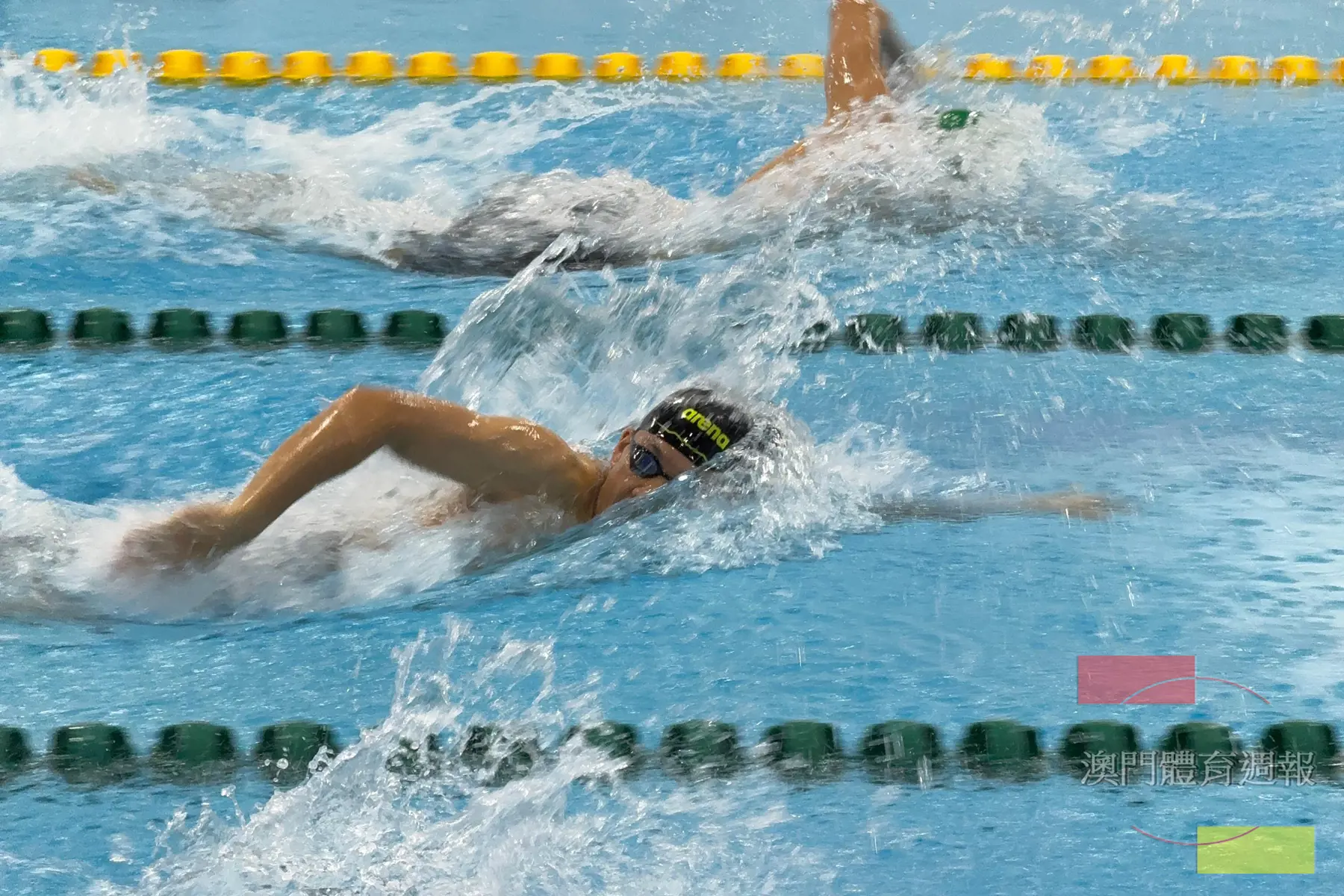 周浩正於100米自由泳初賽.jpeg