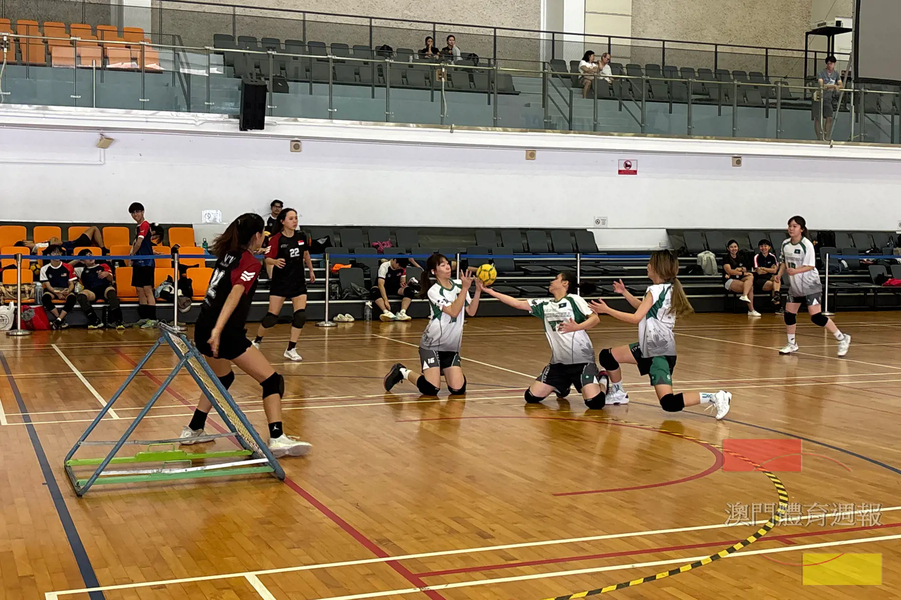 澳門女子隊與新加坡隊交鋒.jpg